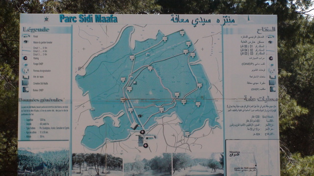منتزه سيدي معافة بجماعة أهل أنكاد